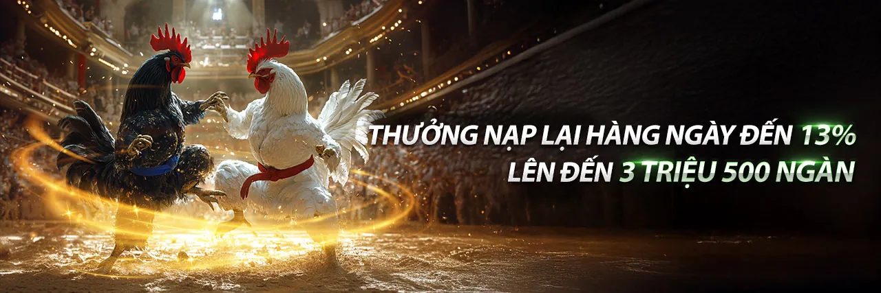Đá gà trực tiếp Thomo 88 kịch tính